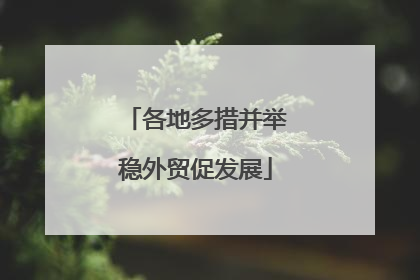 各地多措并举稳外贸促发展