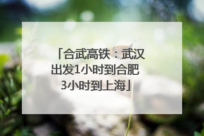合武高铁：武汉出发1小时到合肥3小时到上海