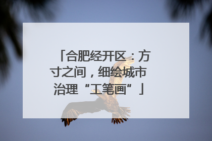 合肥经开区：方寸之间，细绘城市治理“工笔画”