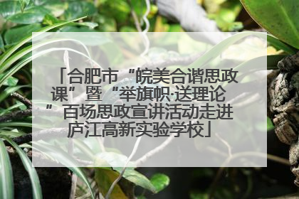 合肥市“皖美合谐思政课”暨“举旗帜·送理论”百场思政宣讲活动走进庐江高新实验学校