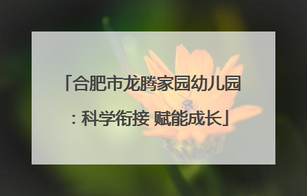 合肥市龙腾家园幼儿园：科学衔接 赋能成长