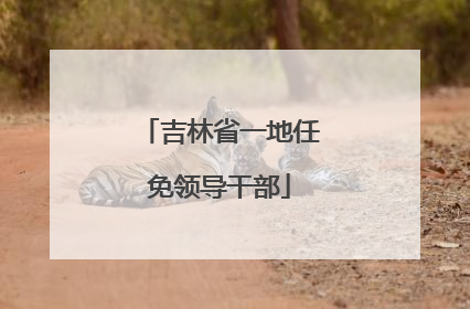 吉林省一地任免领导干部