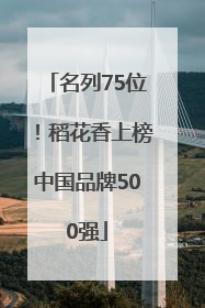 名列75位！稻花香上榜中国品牌500强