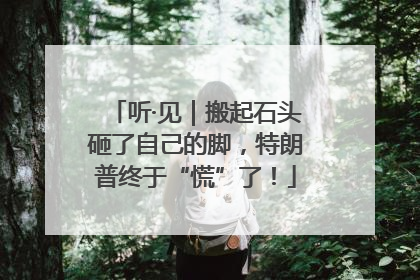 听·见｜搬起石头砸了自己的脚，特朗普终于“慌”了！