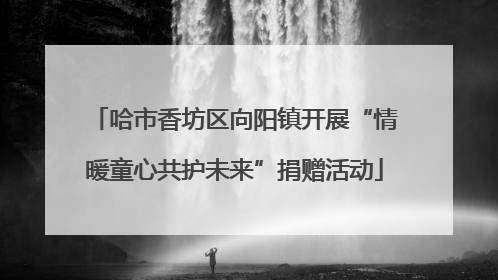 哈市香坊区向阳镇开展“情暖童心共护未来”捐赠活动
