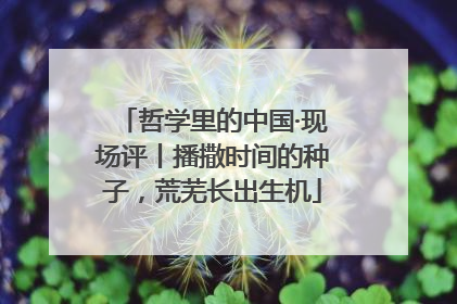 哲学里的中国·现场评丨播撒时间的种子，荒芜长出生机