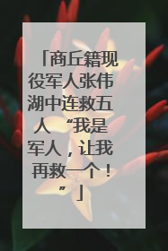 商丘籍现役军人张伟湖中连救五人 “我是军人，让我再救一个！”