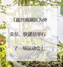 嘉兴南湖区为外卖员、快递员举行了一场运动会