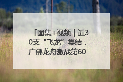 图集+视频｜近30支“飞龙”集结，广佛龙舟激战第60届荔湾“沙溪景”
