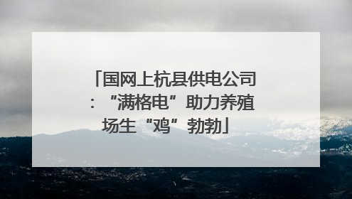 国网上杭县供电公司：“满格电”助力养殖场生“鸡”勃勃