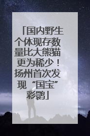 国内野生个体现存数量比大熊猫更为稀少！扬州首次发现“国宝”彩鹮