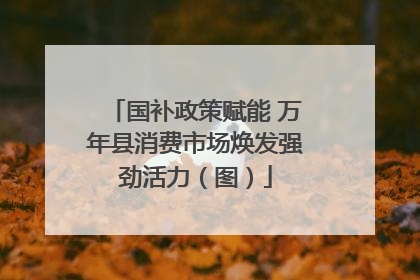 国补政策赋能 万年县消费市场焕发强劲活力（图）
