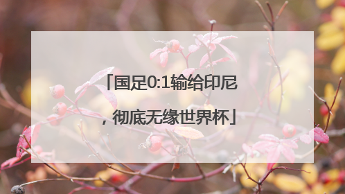 国足0:1输给印尼，彻底无缘世界杯