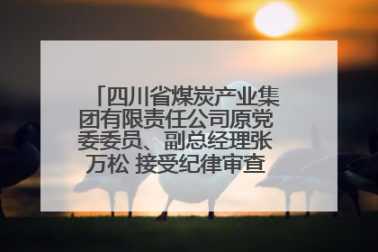 四川省煤炭产业集团有限责任公司原党委委员、副总经理张万松 接受纪律审查和监察调查