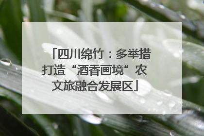 四川绵竹：多举措打造“酒香画境”农文旅融合发展区