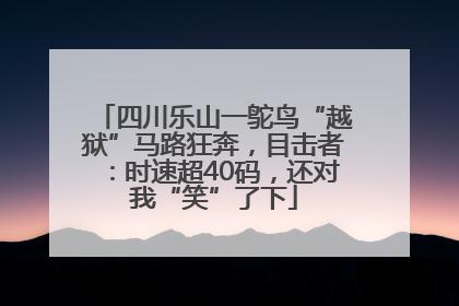 四川乐山一鸵鸟“越狱”马路狂奔，目击者：时速超40码，还对我“笑”了下