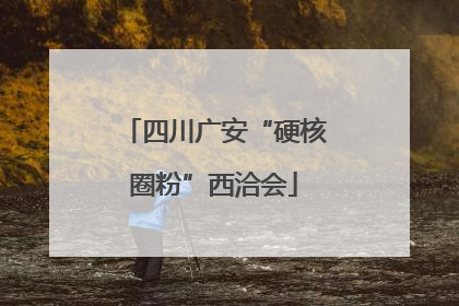 四川广安“硬核圈粉”西洽会