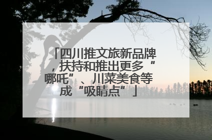 四川推文旅新品牌，扶持和推出更多“哪吒”、川菜美食等成“吸睛点”