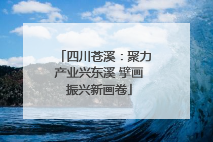 四川苍溪：聚力产业兴东溪 擘画振兴新画卷