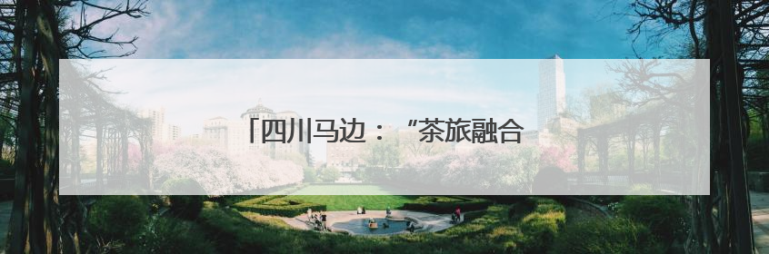 四川马边：“茶旅融合”共绘民族团结新画卷