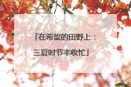 在希望的田野上：三夏时节丰收忙