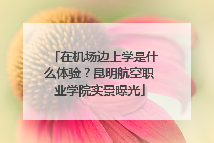 在机场边上学是什么体验？昆明航空职业学院实景曝光