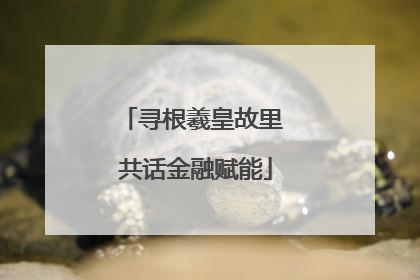 寻根羲皇故里 共话金融赋能