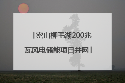密山柳毛湖200兆瓦风电储能项目并网