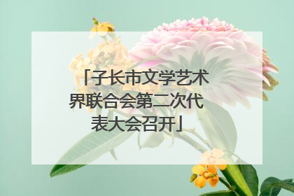 子长市文学艺术界联合会第二次代表大会召开