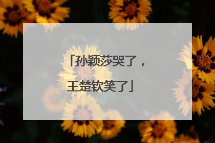 孙颖莎哭了，王楚钦笑了