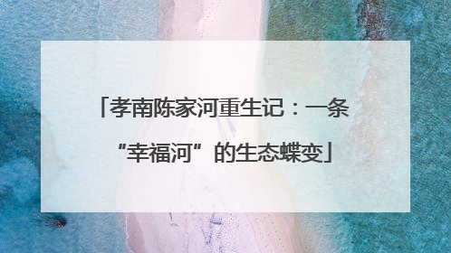孝南陈家河重生记：一条“幸福河”的生态蝶变