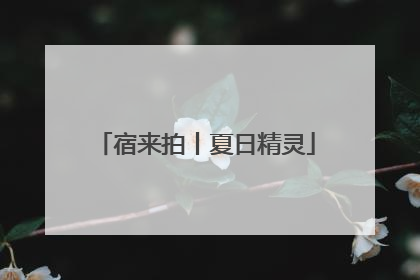 宿来拍丨夏日精灵