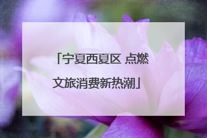 宁夏西夏区 点燃文旅消费新热潮