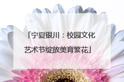 宁夏银川：校园文化艺术节绽放美育繁花