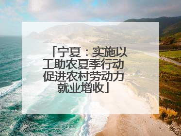 宁夏：实施以工助农夏季行动促进农村劳动力就业增收