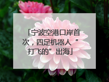 宁波空港口岸首次，四足机器人“打飞的”出海