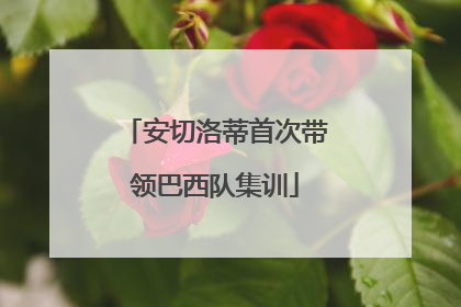安切洛蒂首次带领巴西队集训
