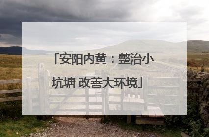 安阳内黄：整治小坑塘 改善大环境
