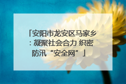安阳市龙安区马家乡：凝聚社会合力 织密防汛“安全网”