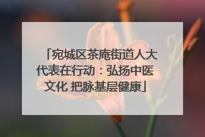 宛城区茶庵街道人大代表在行动：弘扬中医文化 把脉基层健康