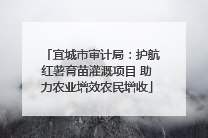 宜城市审计局：护航红薯育苗灌溉项目 助力农业增效农民增收
