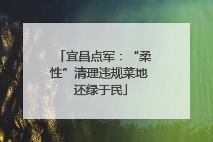 宜昌点军：“柔性”清理违规菜地 还绿于民