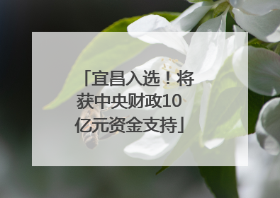 宜昌入选！将获中央财政10亿元资金支持