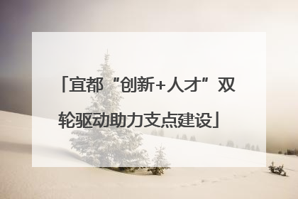 宜都“创新+人才”双轮驱动助力支点建设