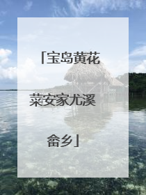 宝岛黄花菜安家尤溪畲乡