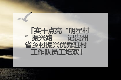 实干点亮“明星村”振兴路——记贵州省乡村振兴优秀驻村工作队员王培欢
