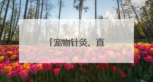 宠物针灸、直播带货……职教周上秀绝活