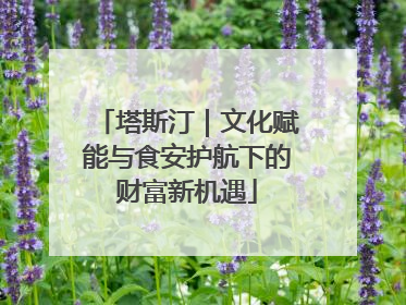 塔斯汀｜文化赋能与食安护航下的财富新机遇