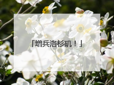 增兵洛杉矶！