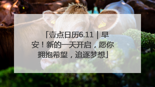 壹点日历6.11｜早安！新的一天开启，愿你拥抱希望，追逐梦想